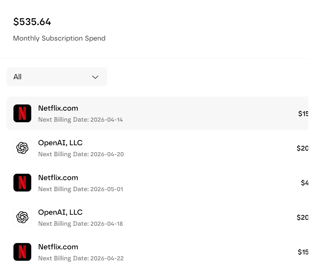 Screenshot: Abonnements und Ausgabenoptimierung